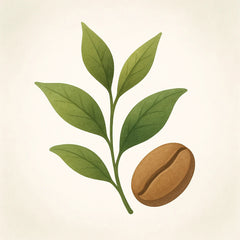 ELEVATE Focus Blend — image 6